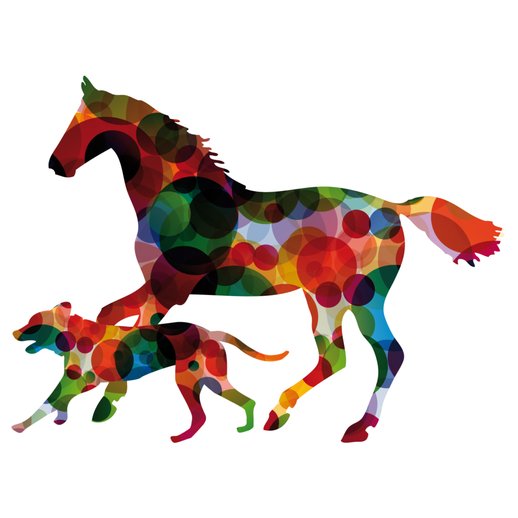 Hund+Pferd HundPferd 1024x1024
